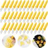 36 Pack Stainless Steel Corn Holders, Corn on The Grill & Cob Skewers, Home & BBQ Cooking Fork