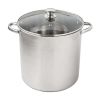 Stainless Steel 16-Quart Stock Pot with Glass Lid, Induction Compatible, Stainless Steel, Dishwasher Safe