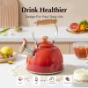 Tea Kettle, Tea Pot with Cool Touch Ergonomic Handle, Teapot Food Grade Stainless Steel, Tea Kettle Stovetop, Kettle Teapot, Whistling Tea Kettle, Sm